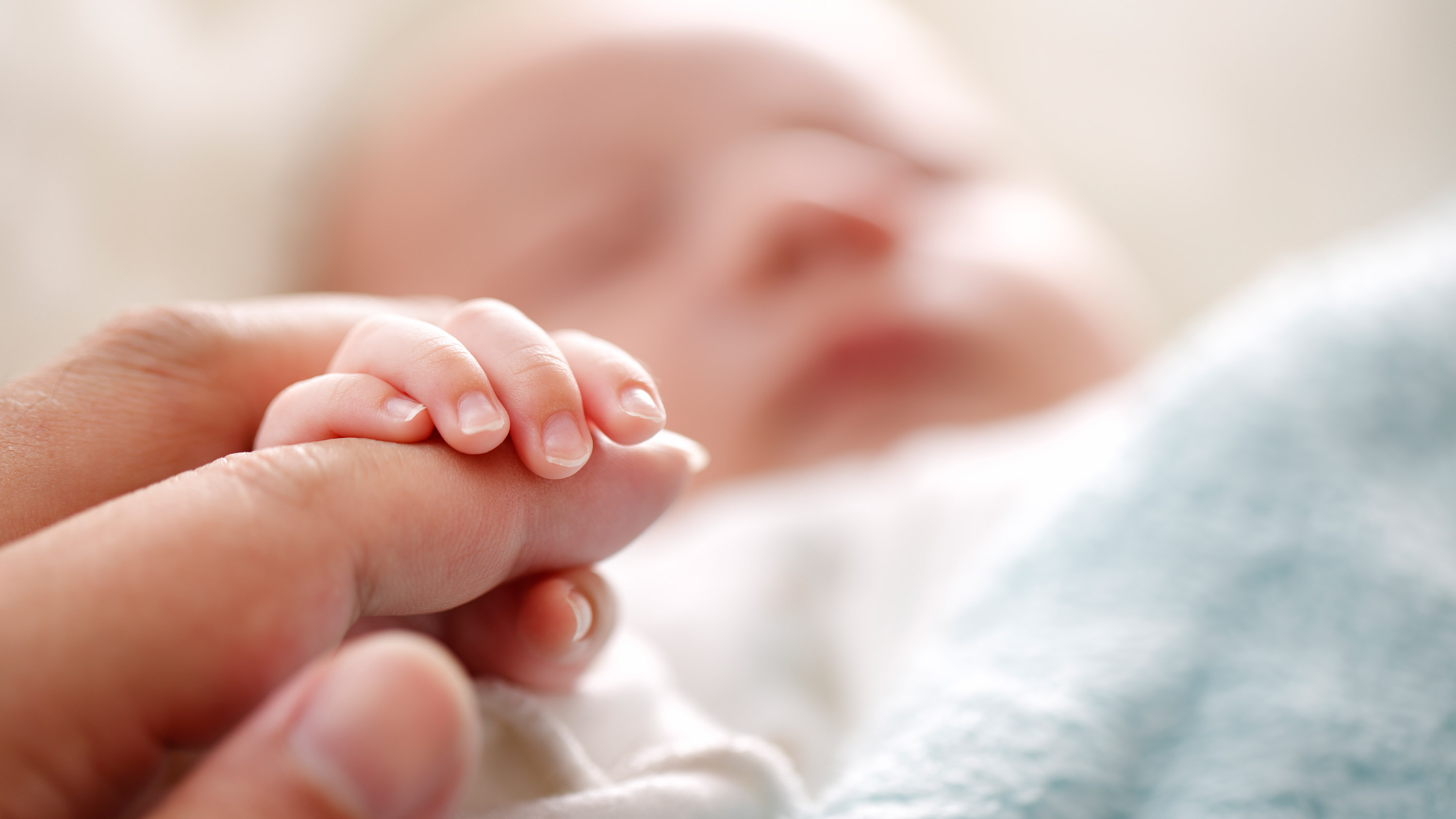 close-up of a baby&#039;s hand holding an adult finger, with the baby&#039;s face in soft focus in the background