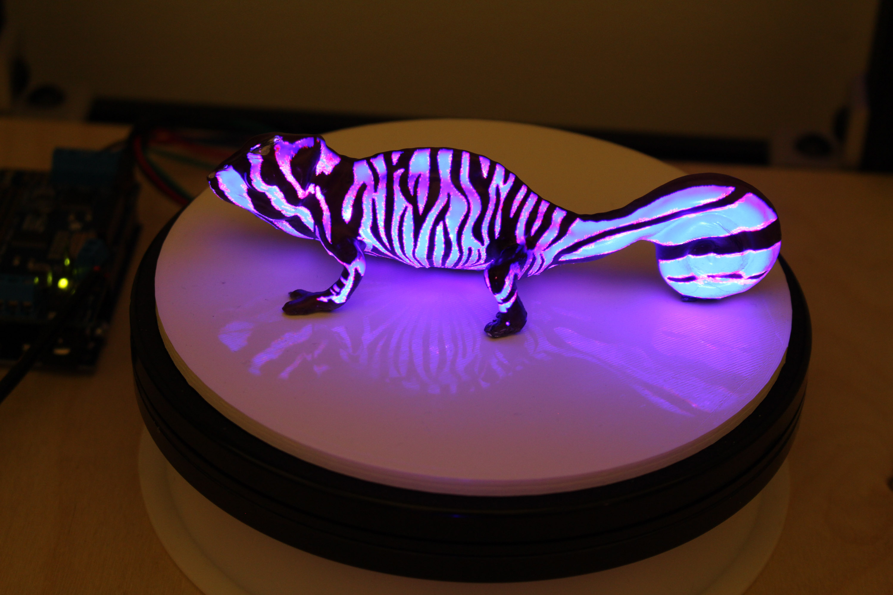 model chameleon lit in a zebra pattern