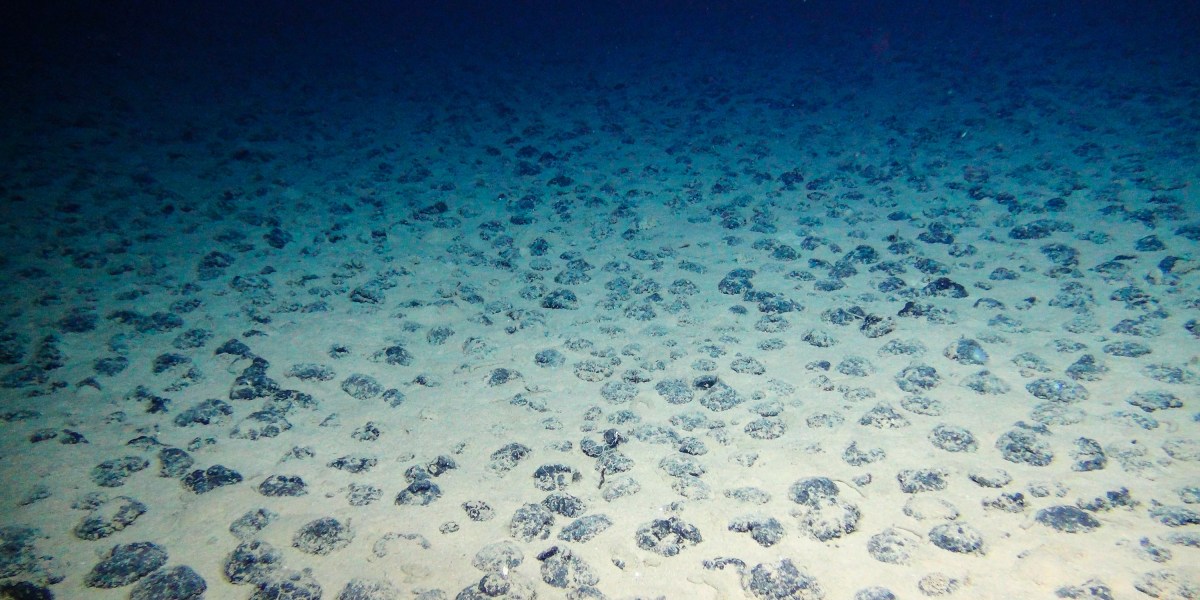 These deep-sea “potatoes” might be the way forward for mining for renewable power