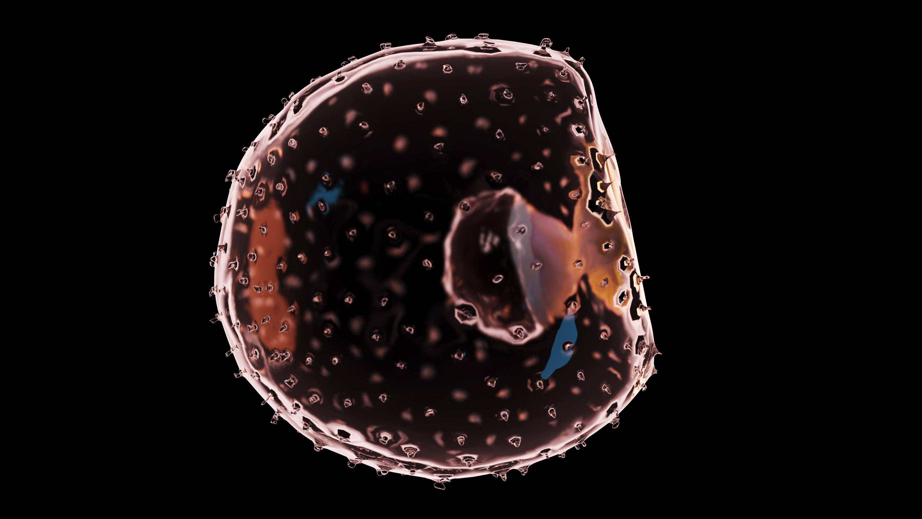 artist&#039;s rendering of a human embryo at week 2