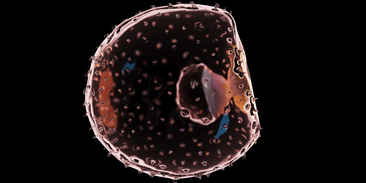 We are able to use stem cells to make embryos. How far ought to we go?