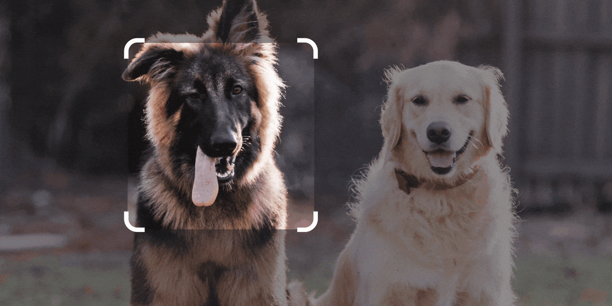 Google is throwing generative AI at everything