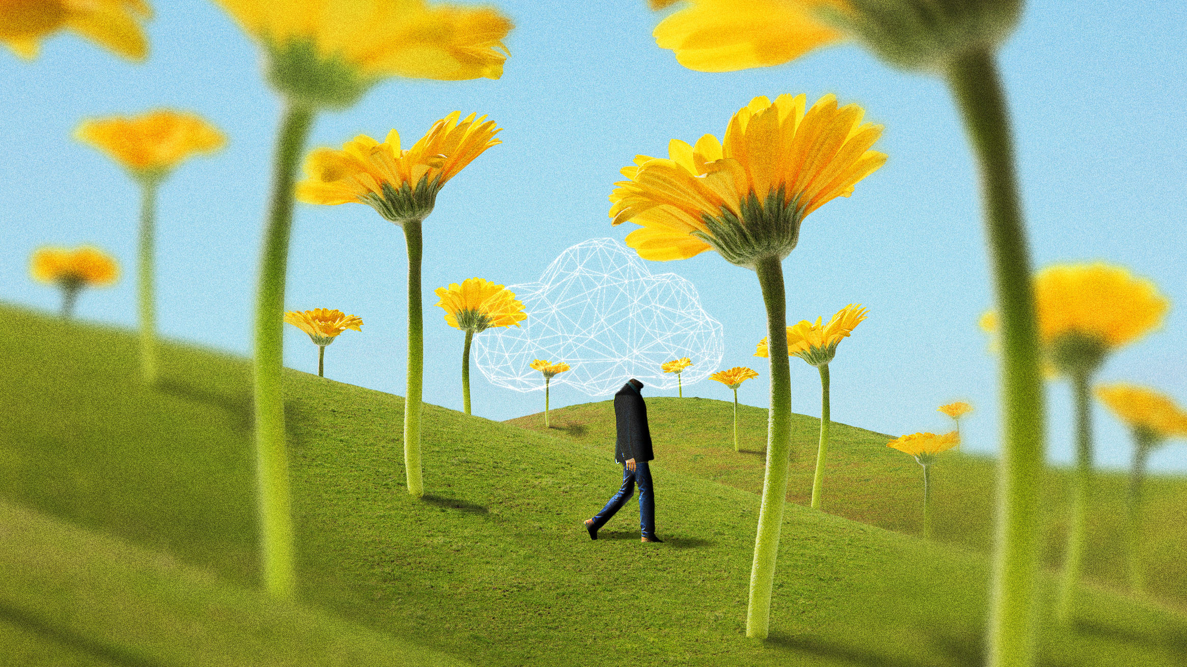 man with head replaced by a network of lines walks through a meadow of giant yellow flowers