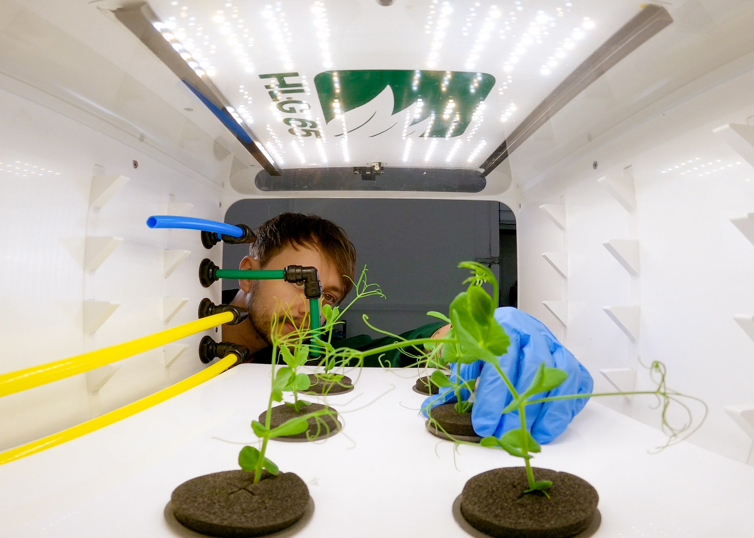 looking out from within the interior of a Nucleus unit where a worker is tending to a plant.