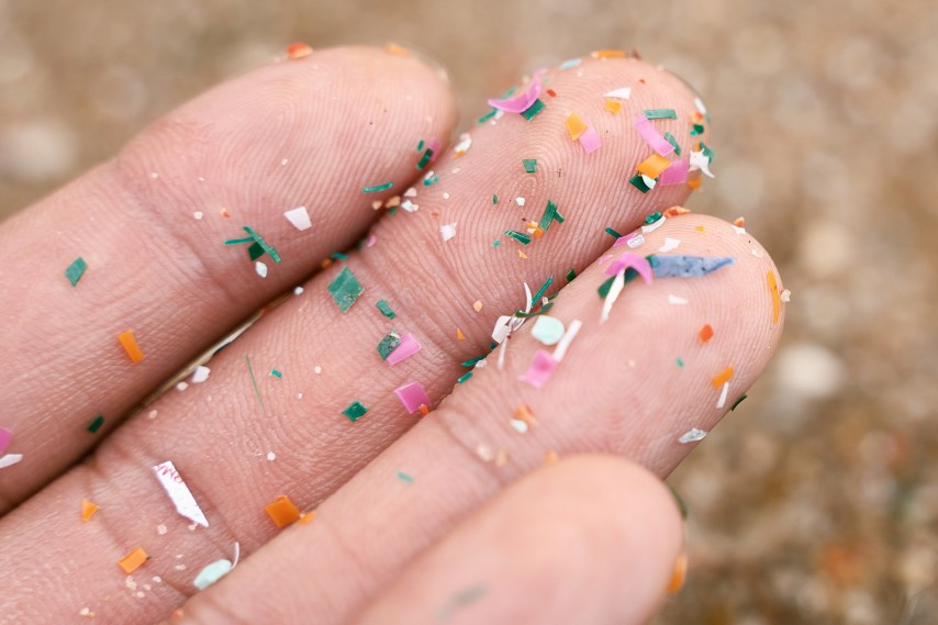 A microplastic in disguise: Why glitter is problematic - UW