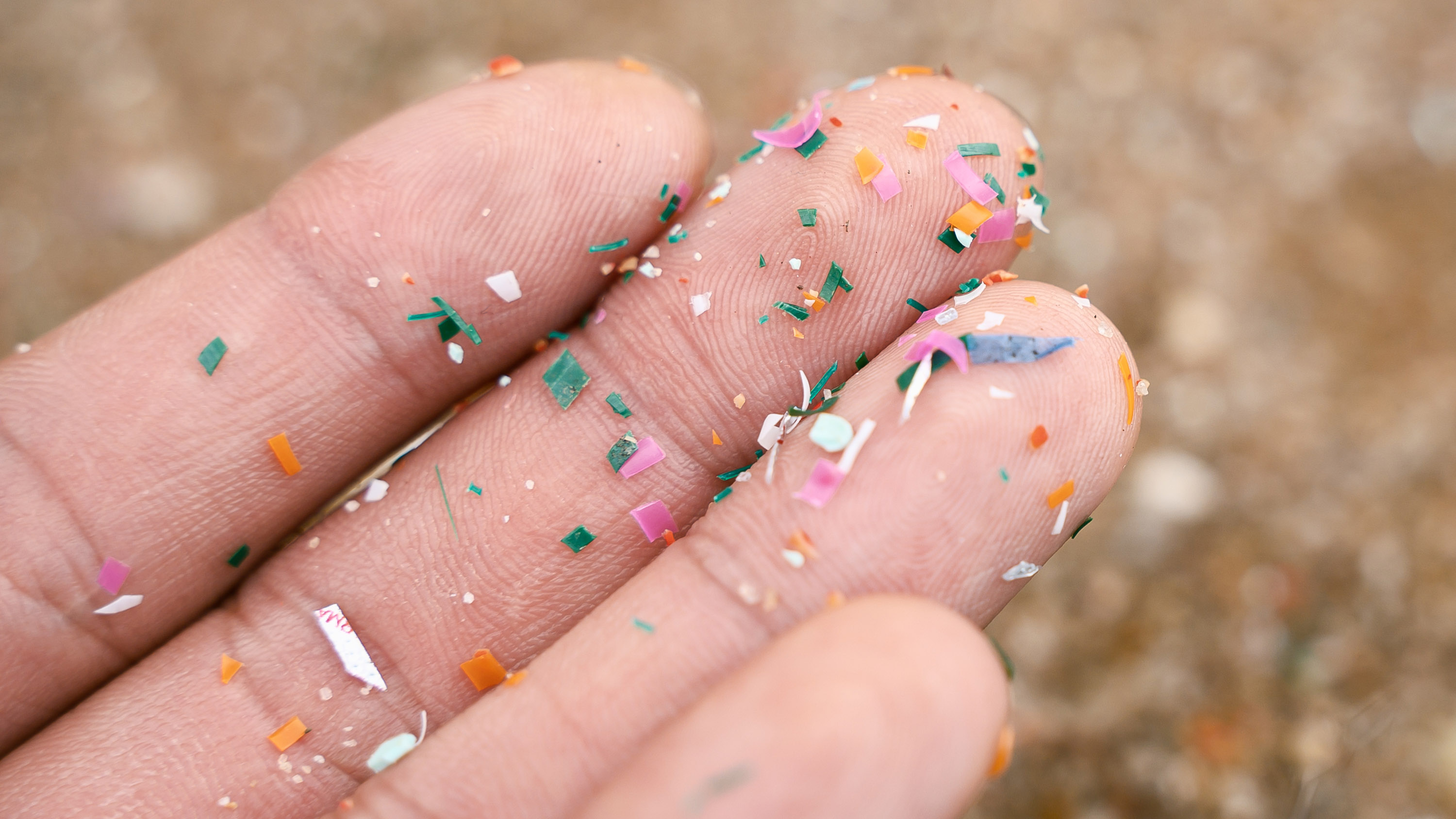 Microplastic fragments on a person's fingers