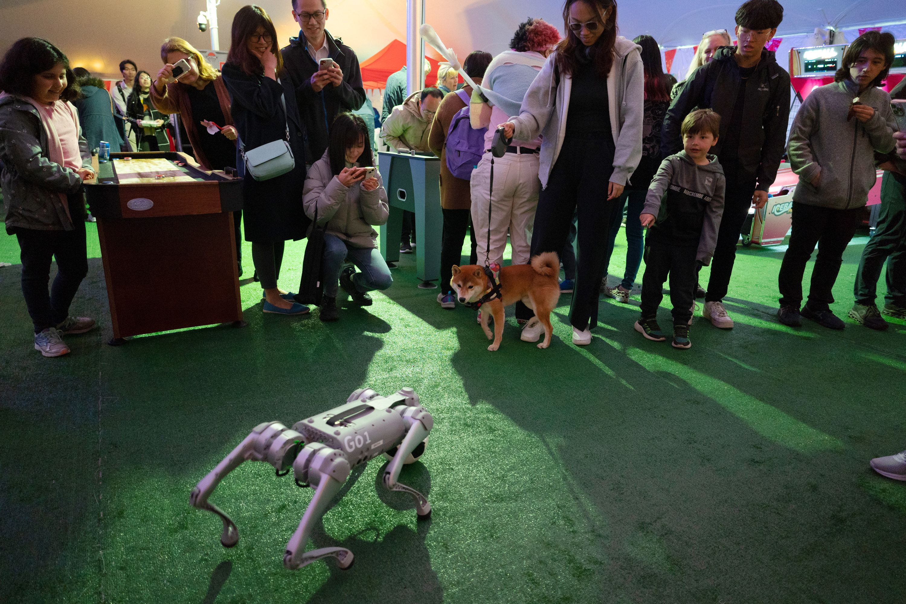 Dribblebot and a Shiba Inu dog face each other surrounded by people celebrating in a festive tent