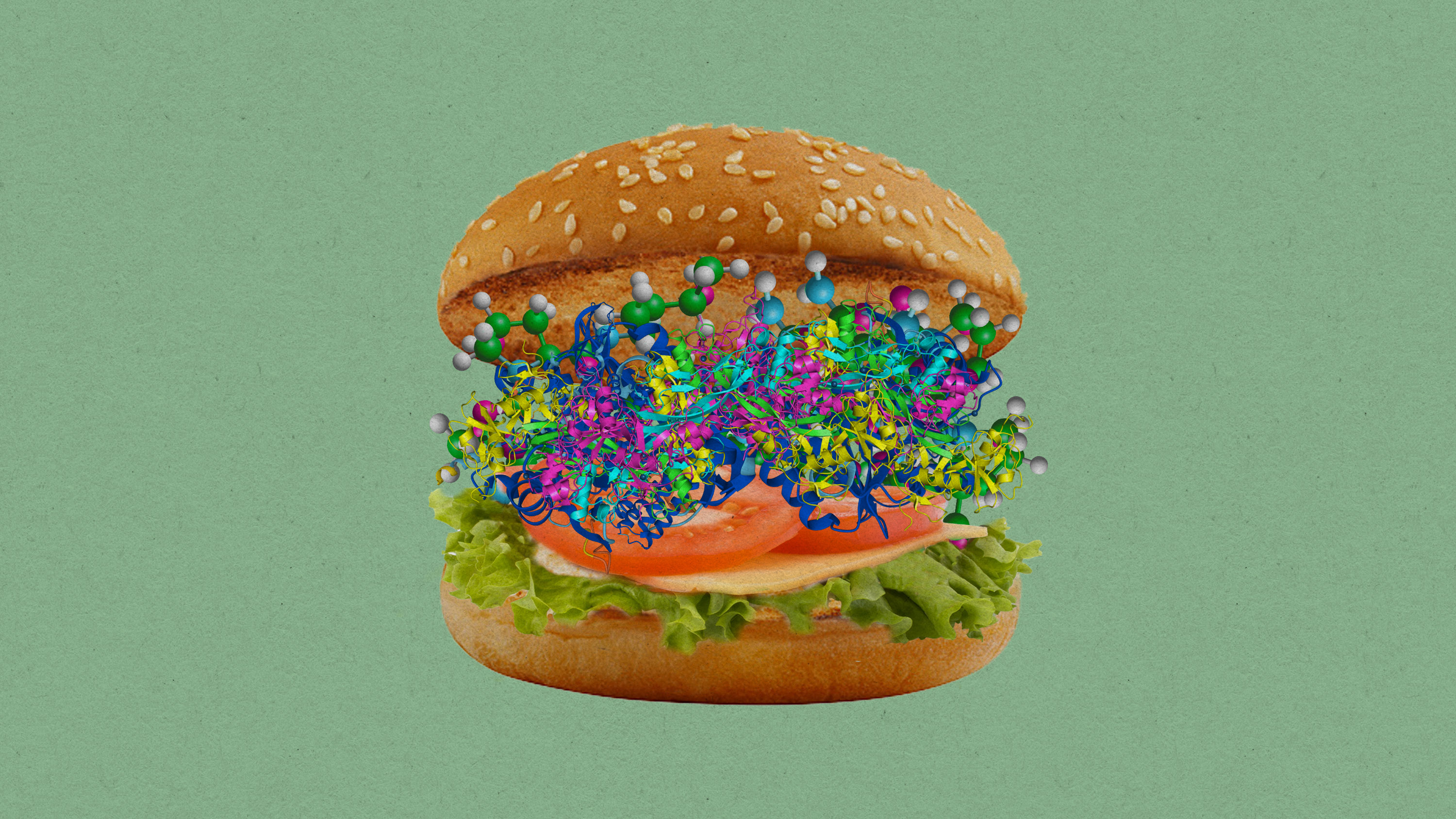protein models in a hamburger bun with lettuce and tomato