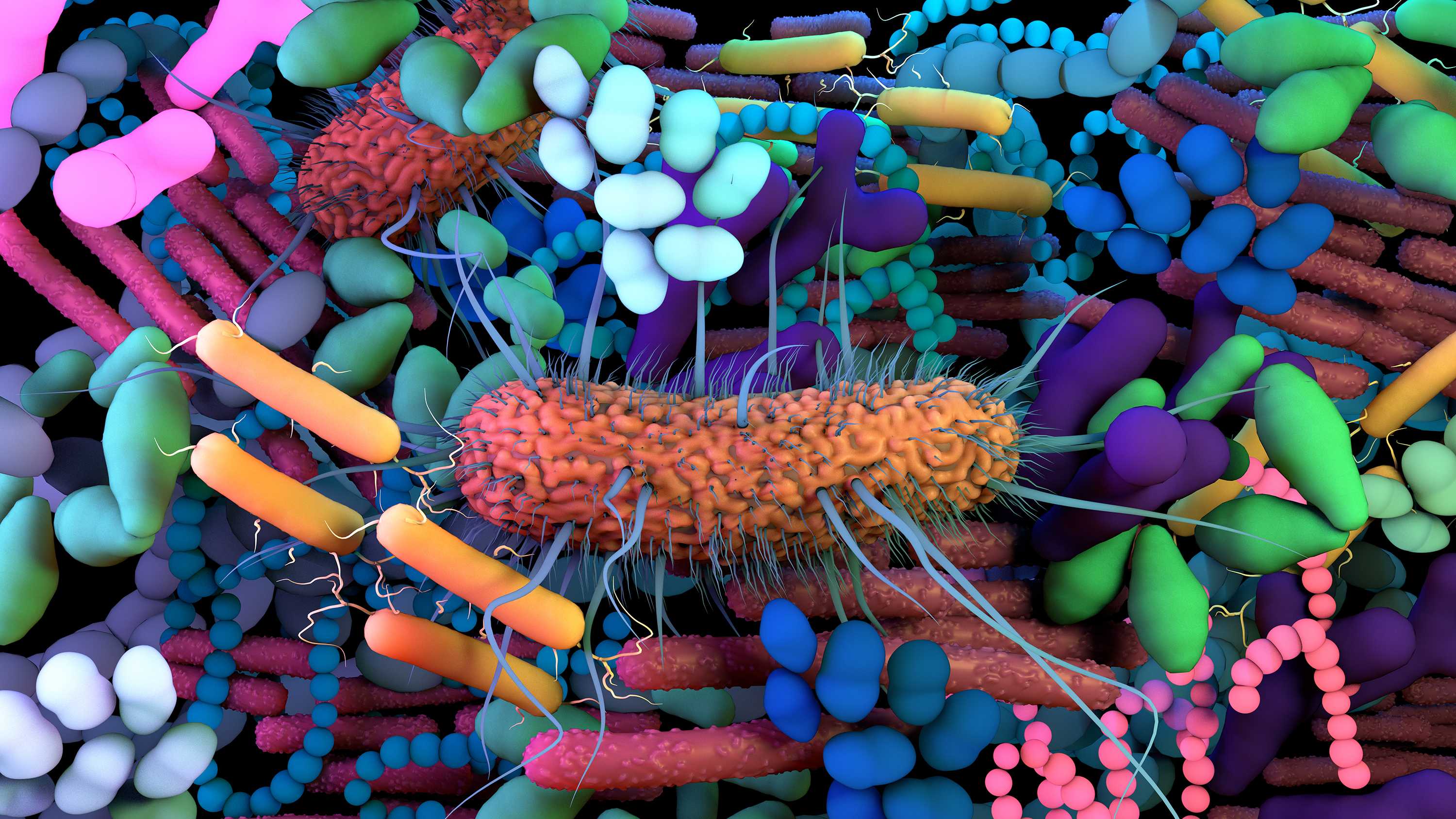 an illustration of human microbiome