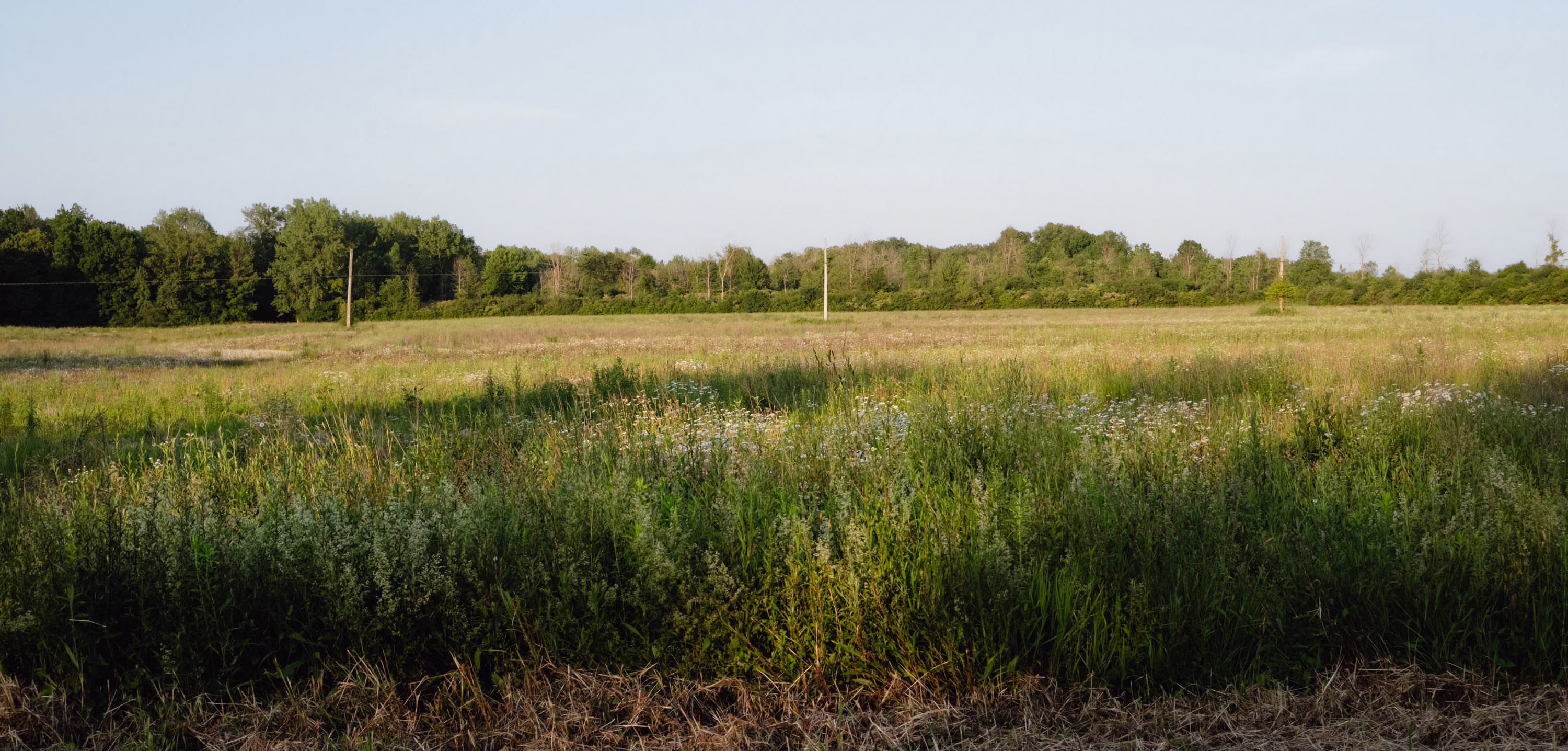 A grassy empty field in Clay, New York.