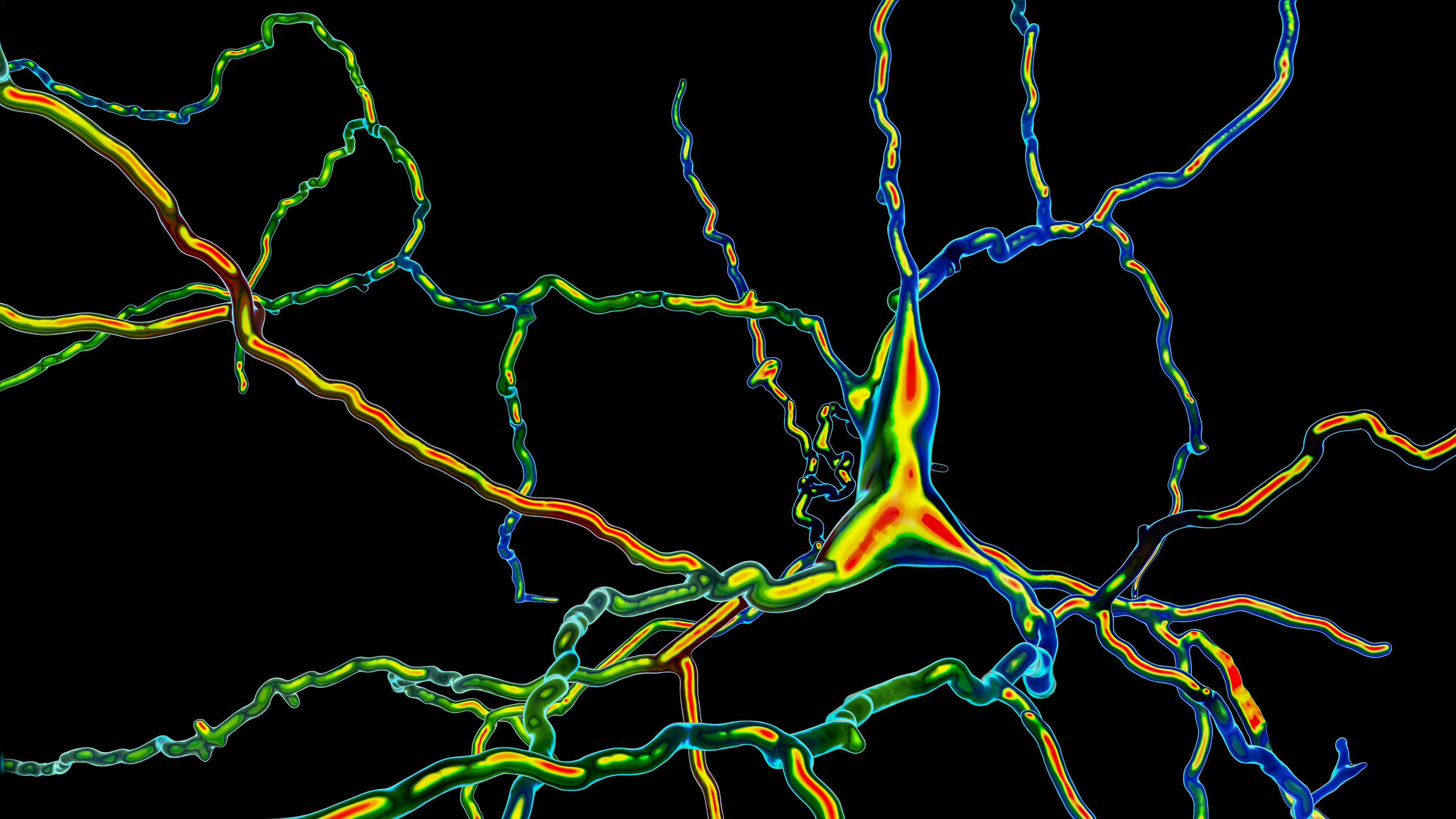 Dopaminergic neuron, computer illustration