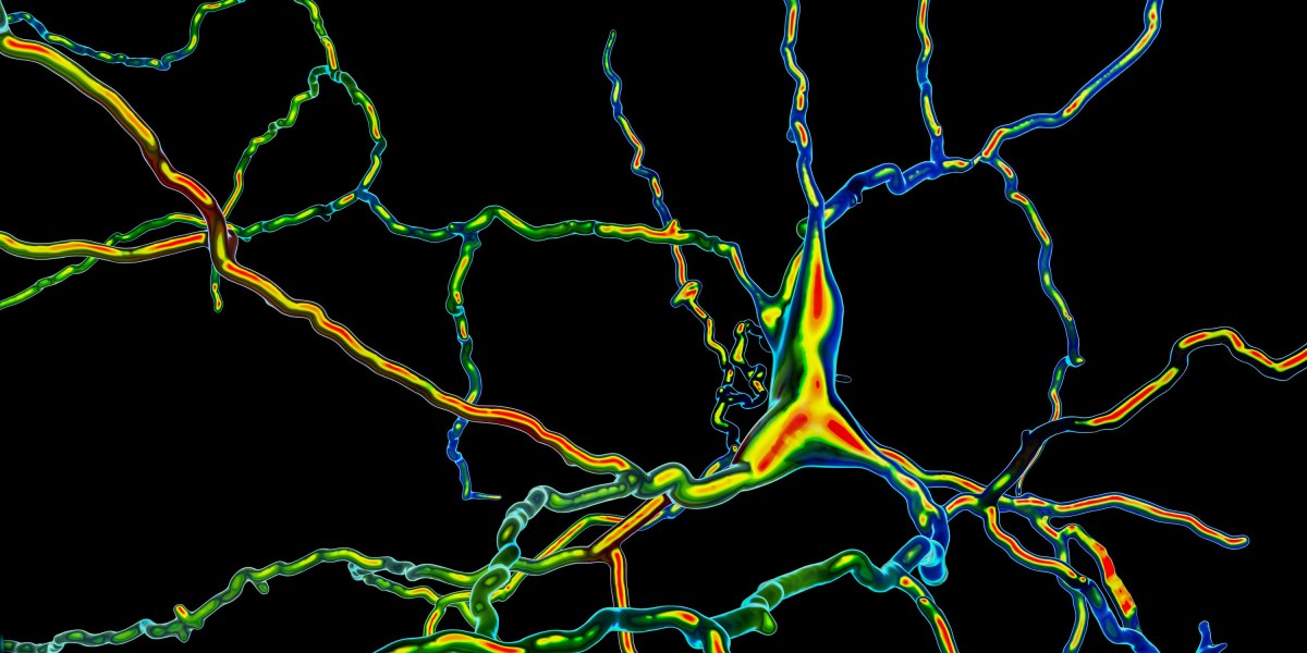 Биотехнологическая компания утверждает, что внедрила клетки, производящие дофамин, в мозг людей