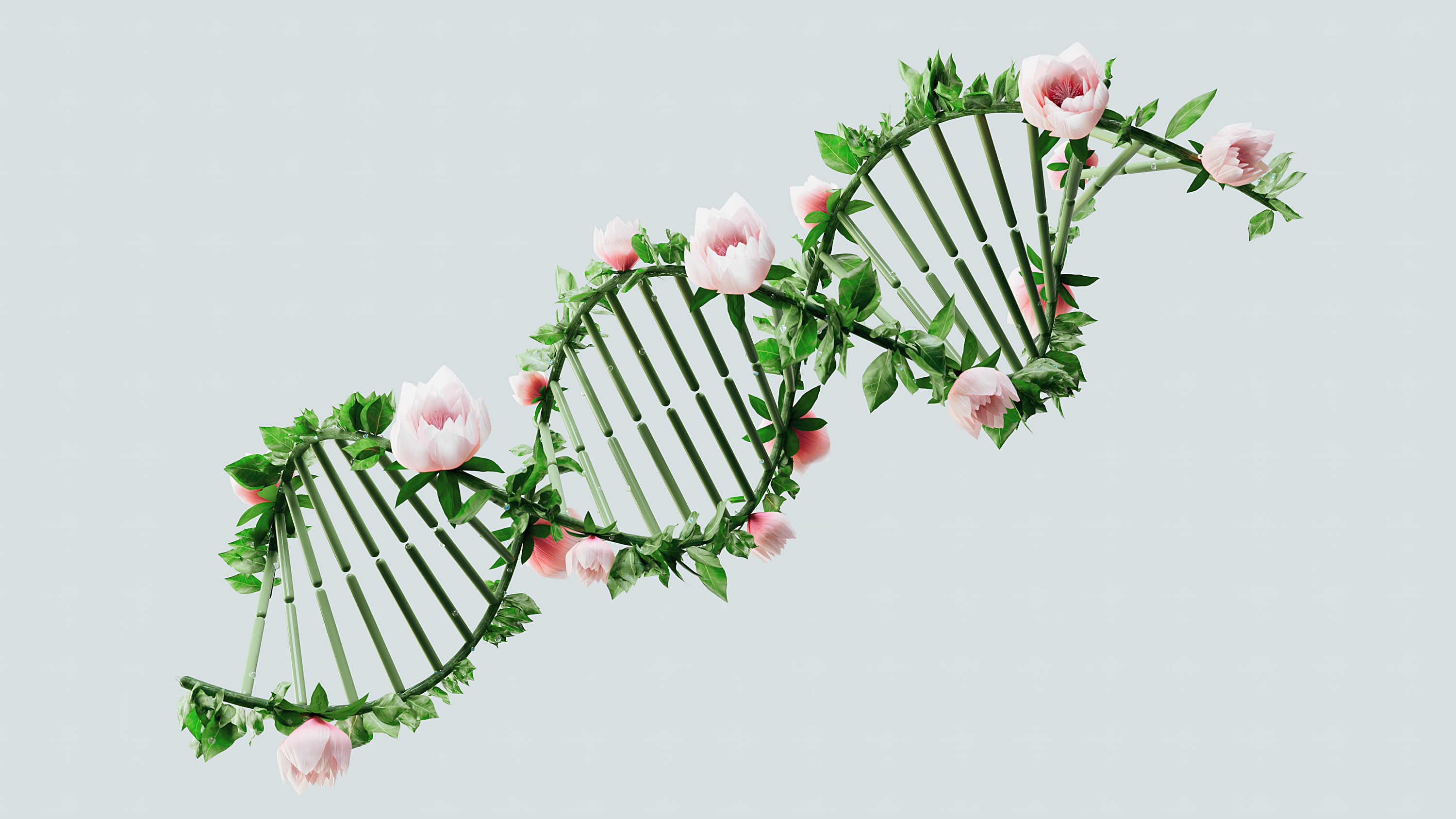 dna helix with leaves and flowers