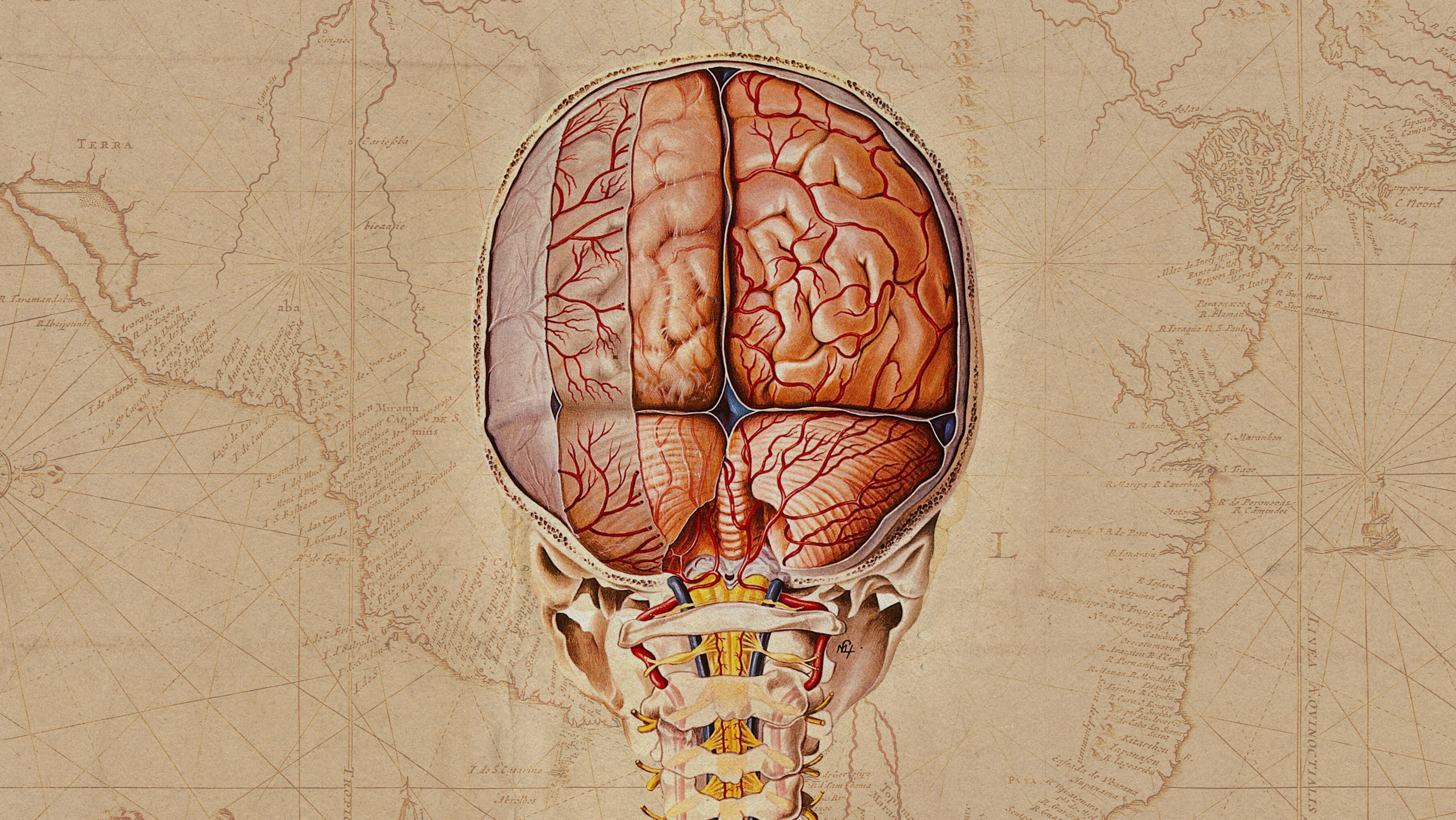 color lithograph of the rear cross-section of a brain and spine superimposed on an old map