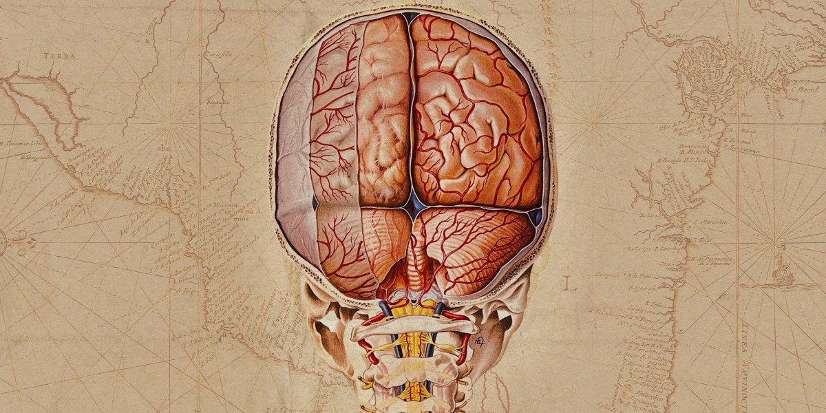 Scientists just drafted an incredibly detailed map of the human brain