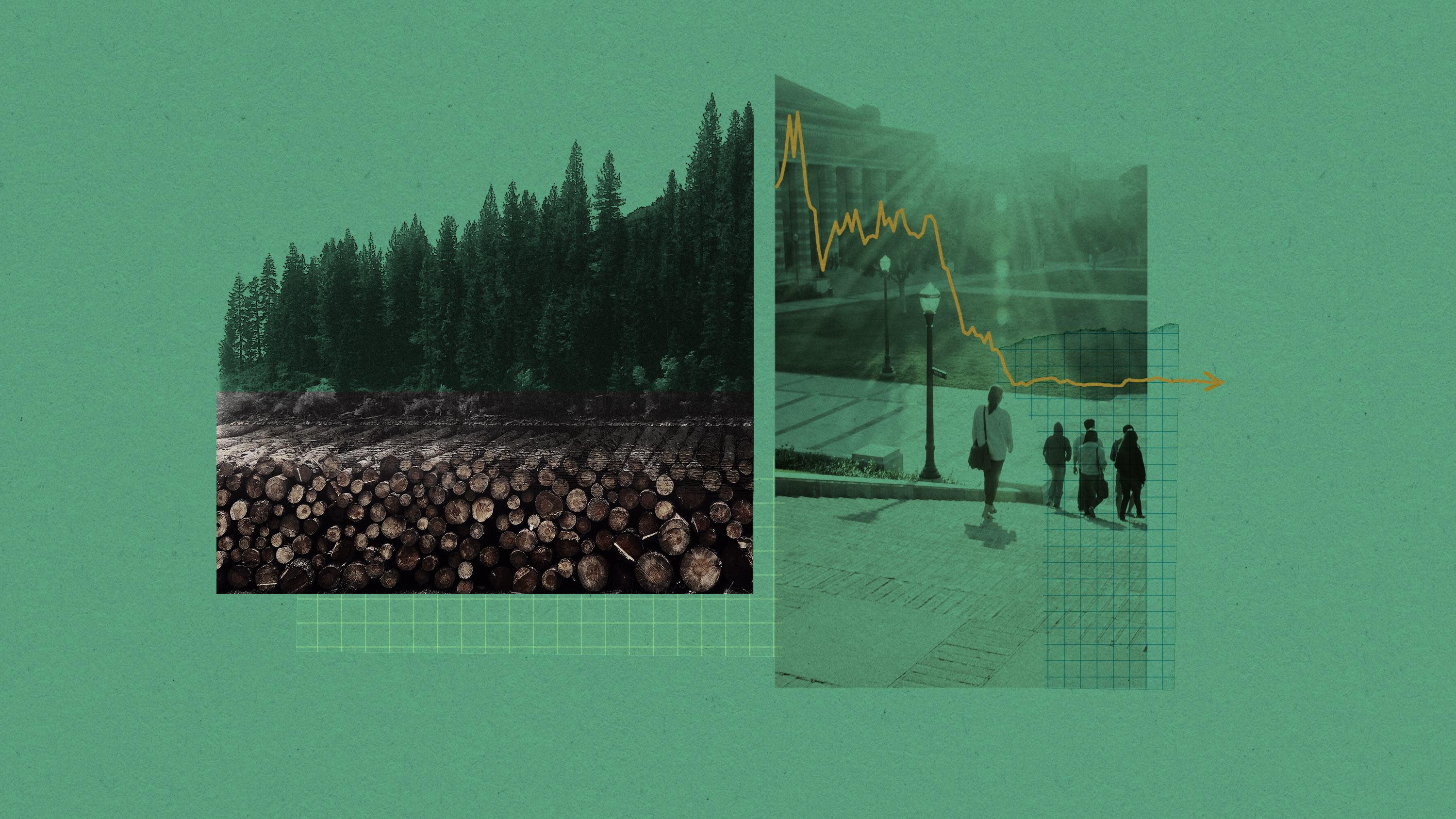 a composition with photographs and graph paper, divided into two parts. On the left are stacked cut logs and a forest of trees; on the right the sun streaking across the campus at UC Berkeley with students walking across the quad. A graph line goes to a baseline as it travels to the right.
