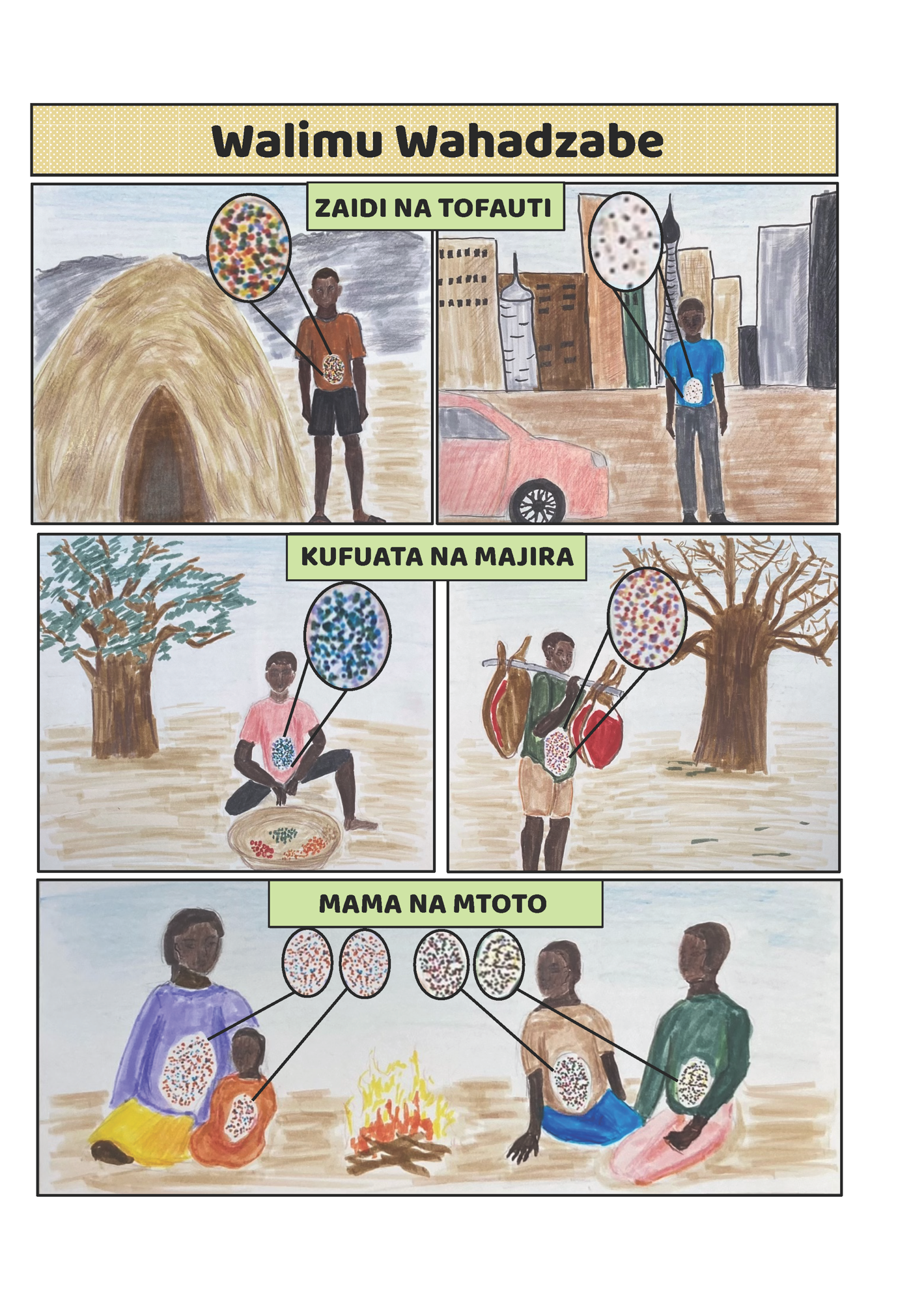 infographic titled "Walimu Wahadzabe" in three parts.  The first part shows an indigenous person with vibrant dots on their belly to show a diversity of microbes, next to a person in a city environment with their dots looking less numerous and less colorful.  The second section shows the influence of diet on the dots, and the third section shows the influence of family on the dots.