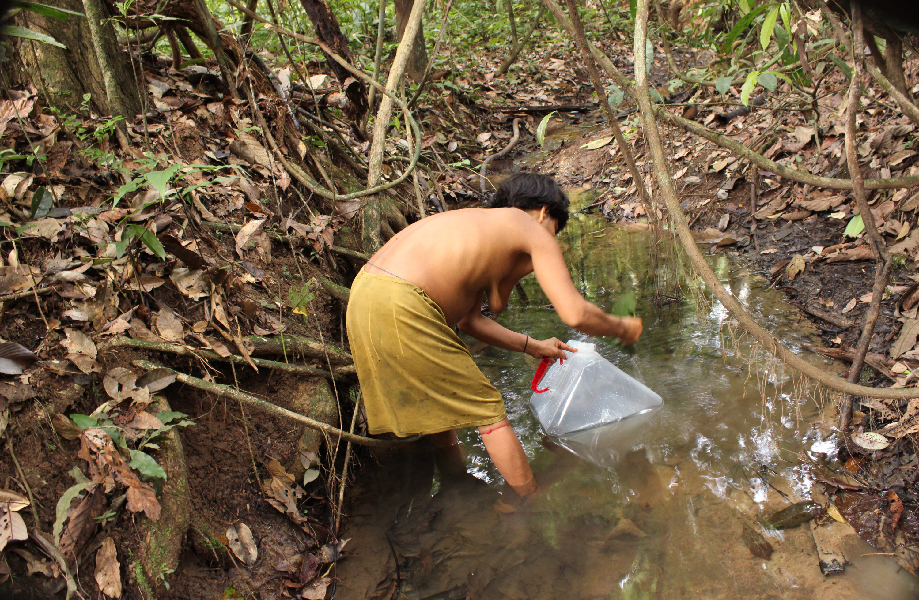 A Yanomami collecting water