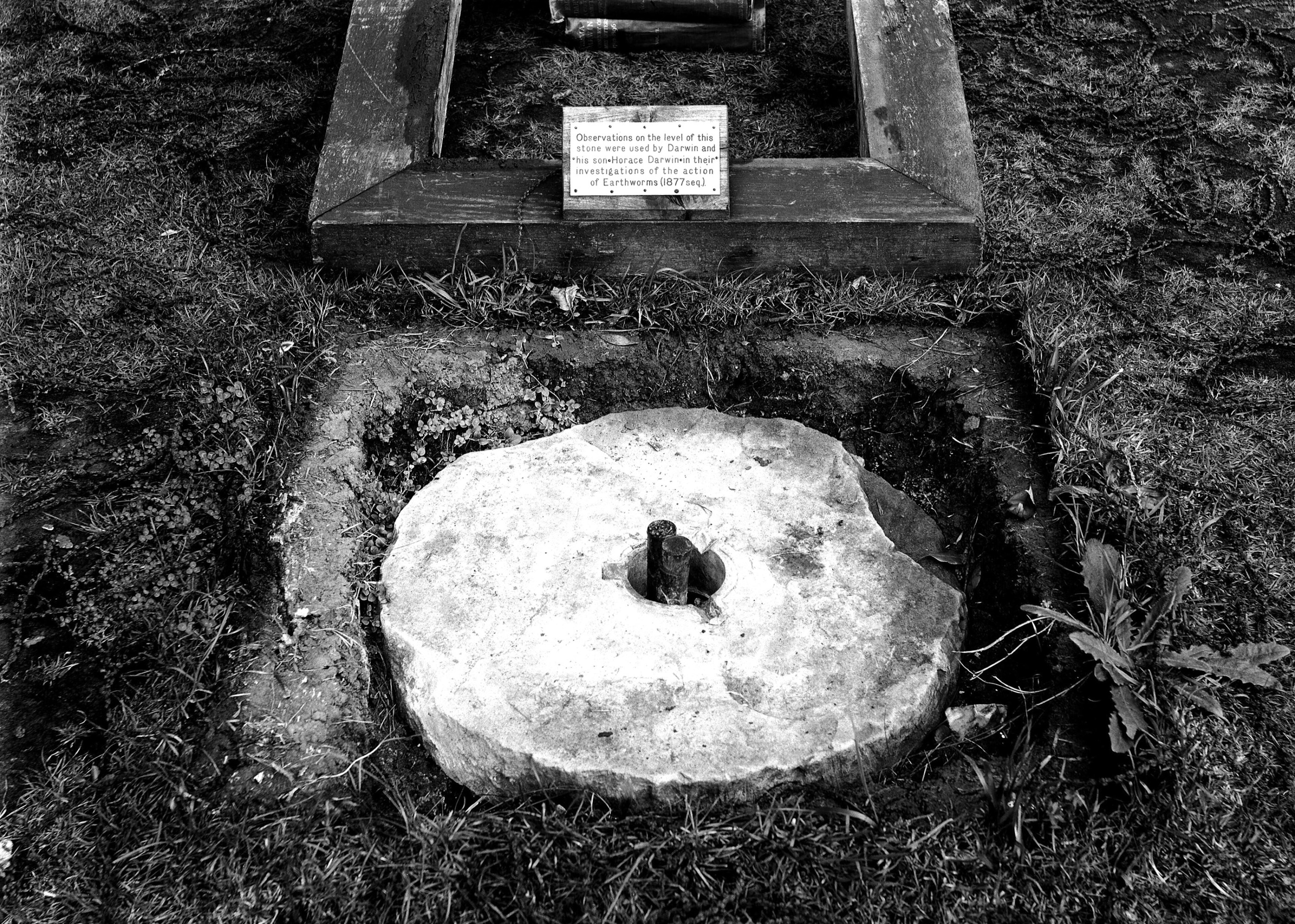 round stone inset in the earth with plaque that reads, "Observations on the level of this stone were used by Darwin and his son Horace Darwin in their investigations of the actions of Earthworms (1877.)"