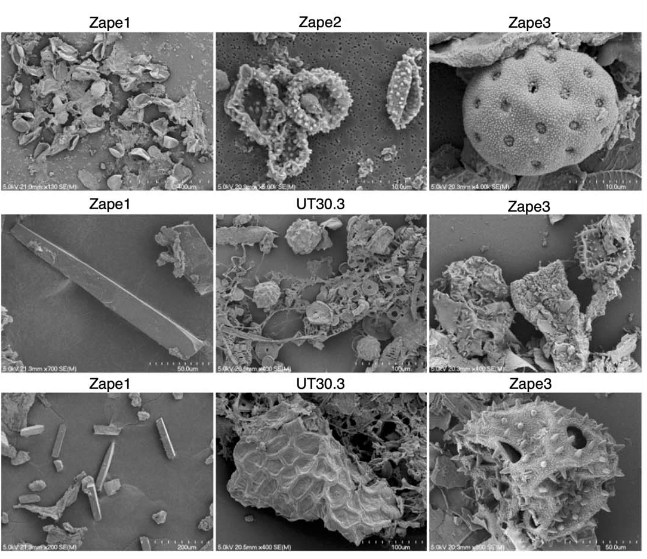 9 samples from a SEM showing a diversity of particles