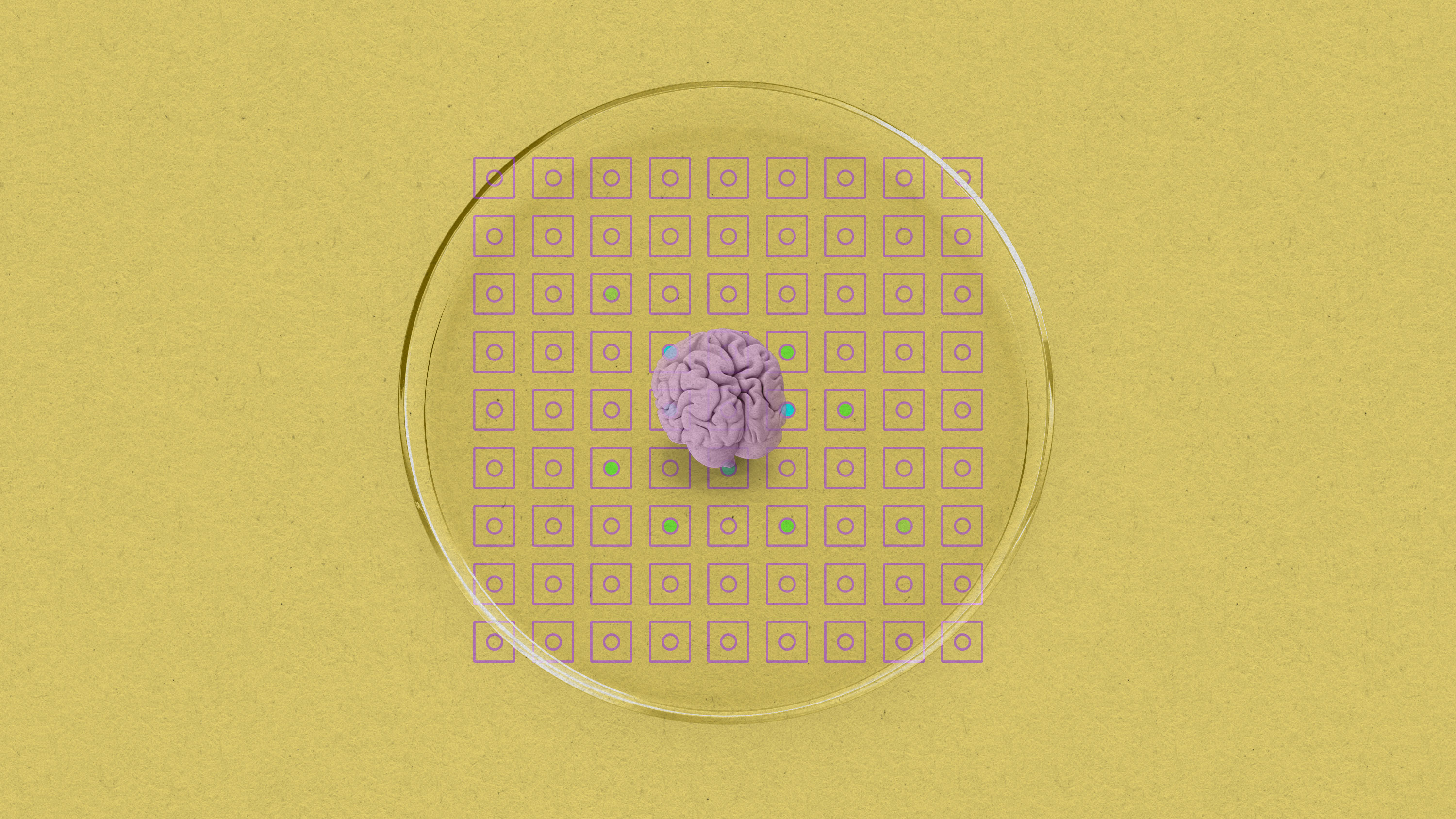 microbrain clump in a petri dish resting on a sensor array respresented by squares with lit or unlit circles in the center