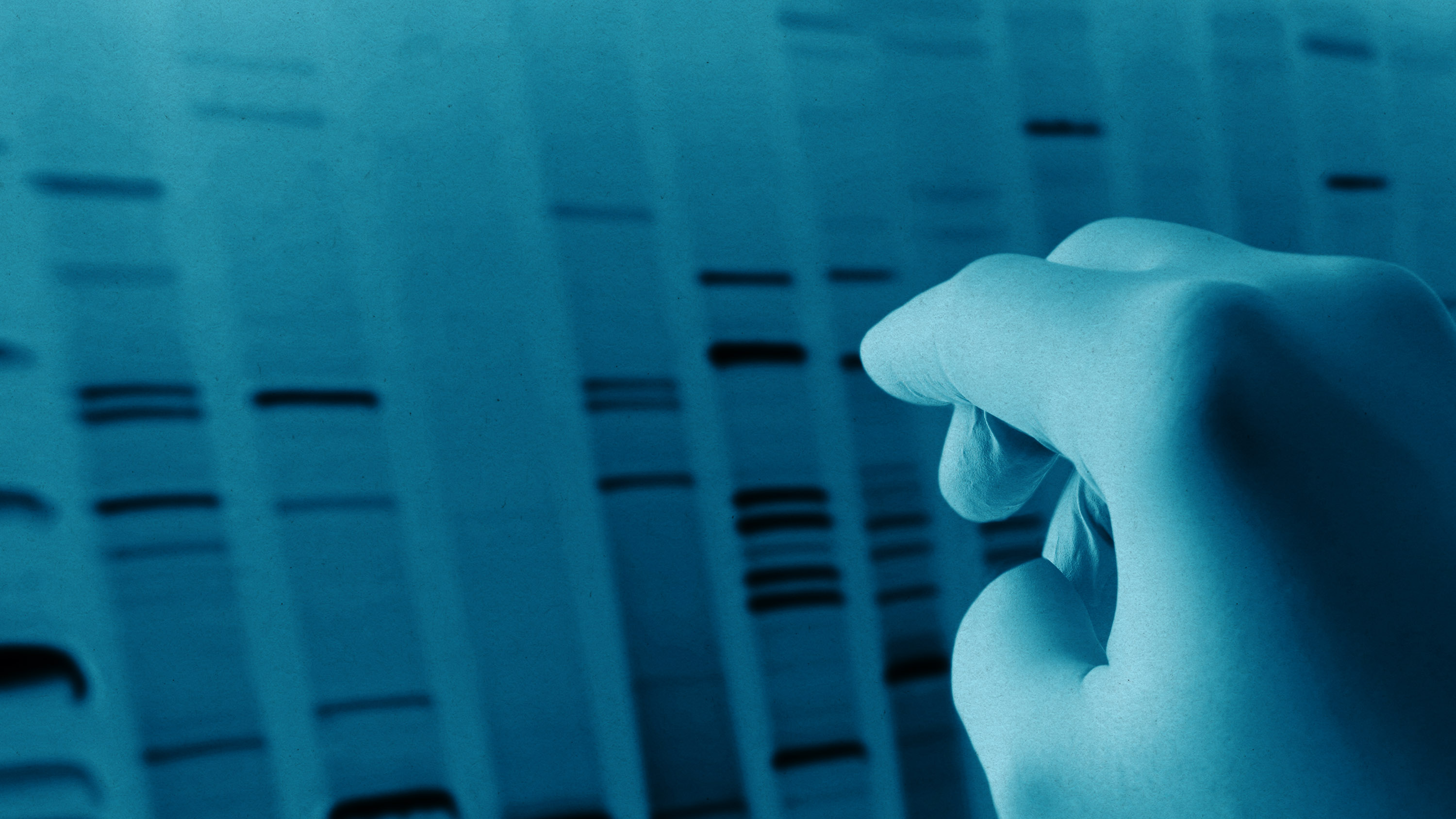 a gloved hand reaches toward a section of DNA sequence gel