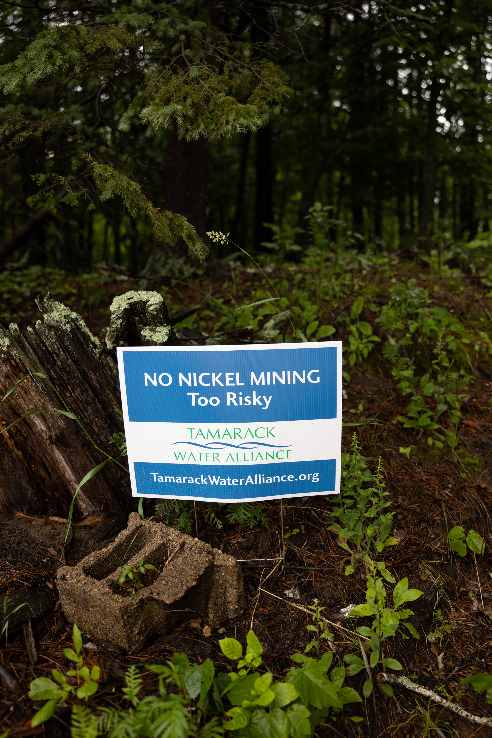 a sign reading "No Nickel Mining, Too Risky. Tamarack Water Alliance"