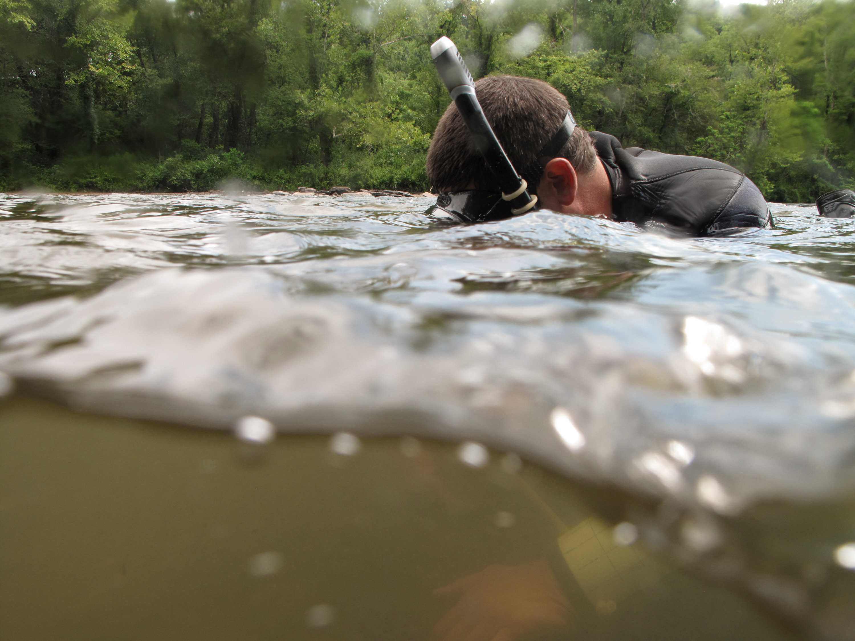 person in mask and snorkel with their head partially immersed in the river