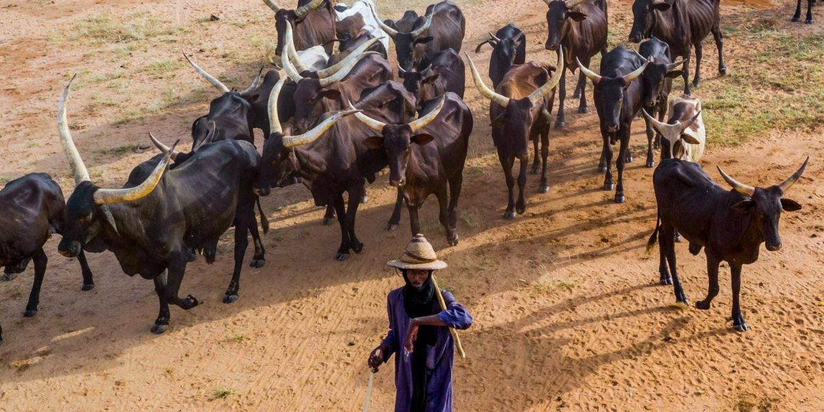 The Download: tech help for herders, and bacteria clean-ups