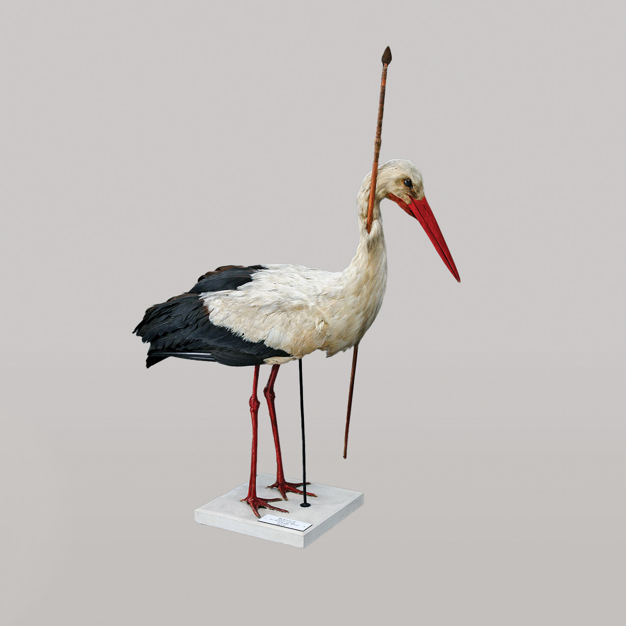 model on a plinth of a stork with a spear thrust vertically through its neck