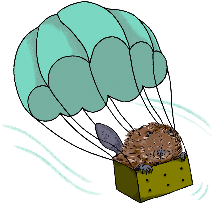 beaver in a box attached to a deployed parachute