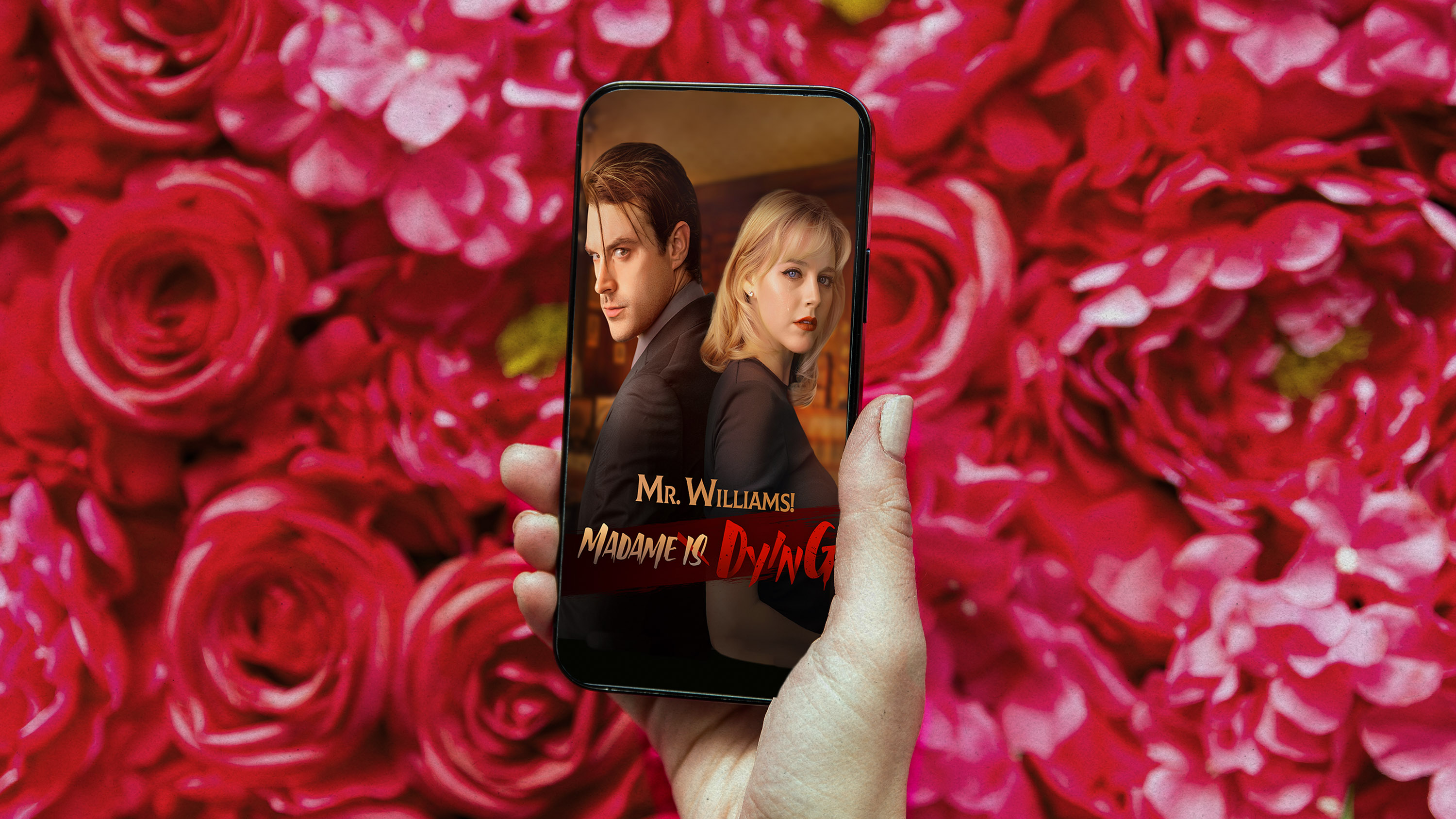 in front of a bed of roses, a hand holds a cell phone with the promo image for the online soap opera, &quot;Mr Williams! Madame is Dying&quot;