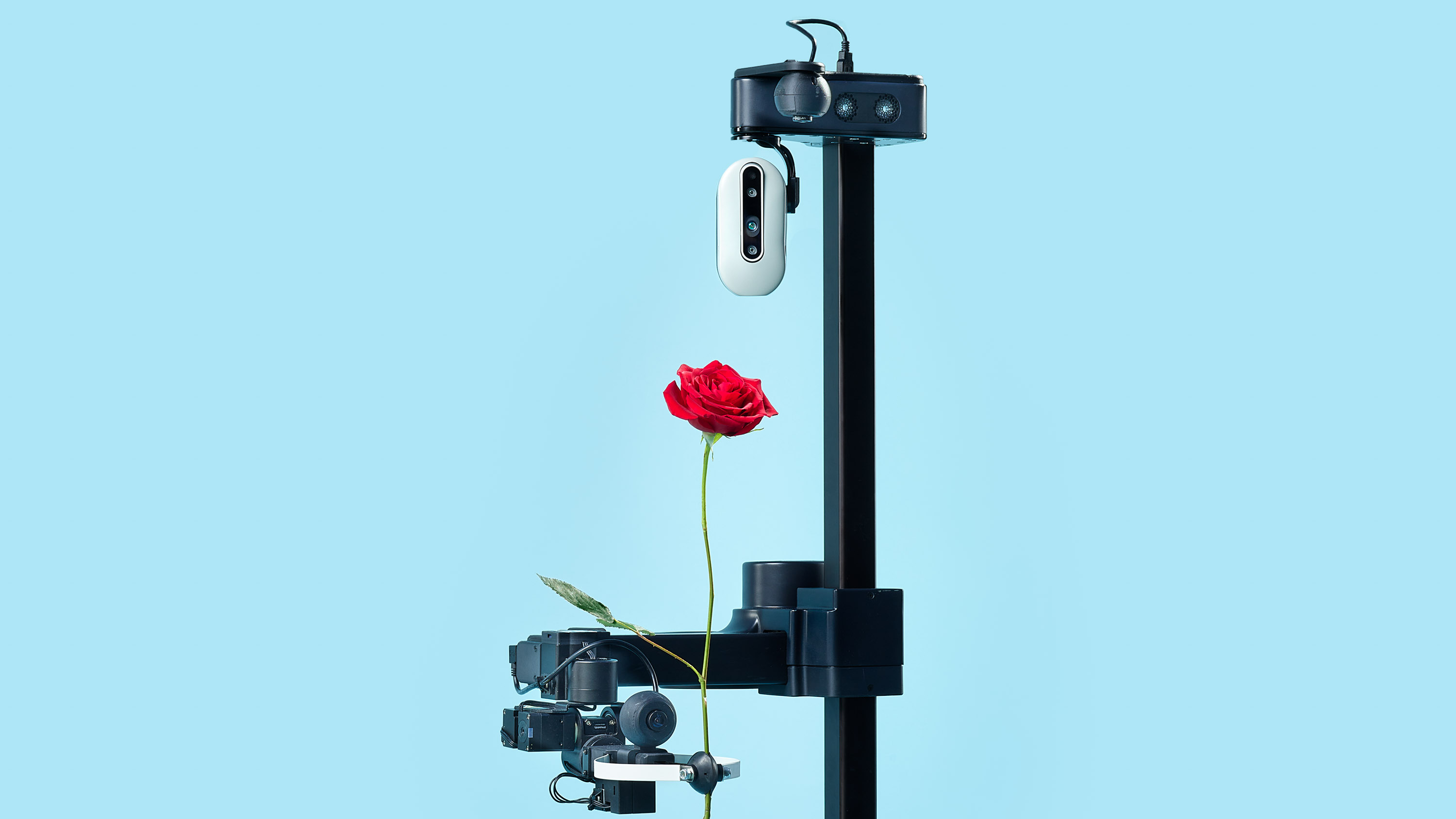 Stretch Robot Presents Rose in its gripper