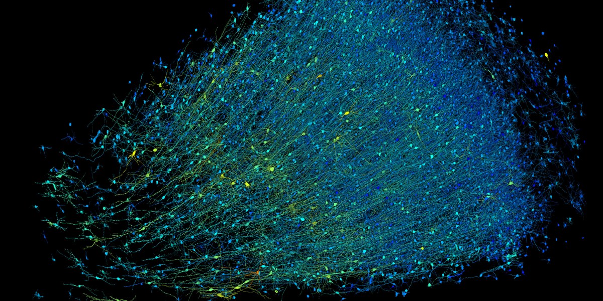 Google helped make an exquisitely detailed map of a tiny piece of the human brain