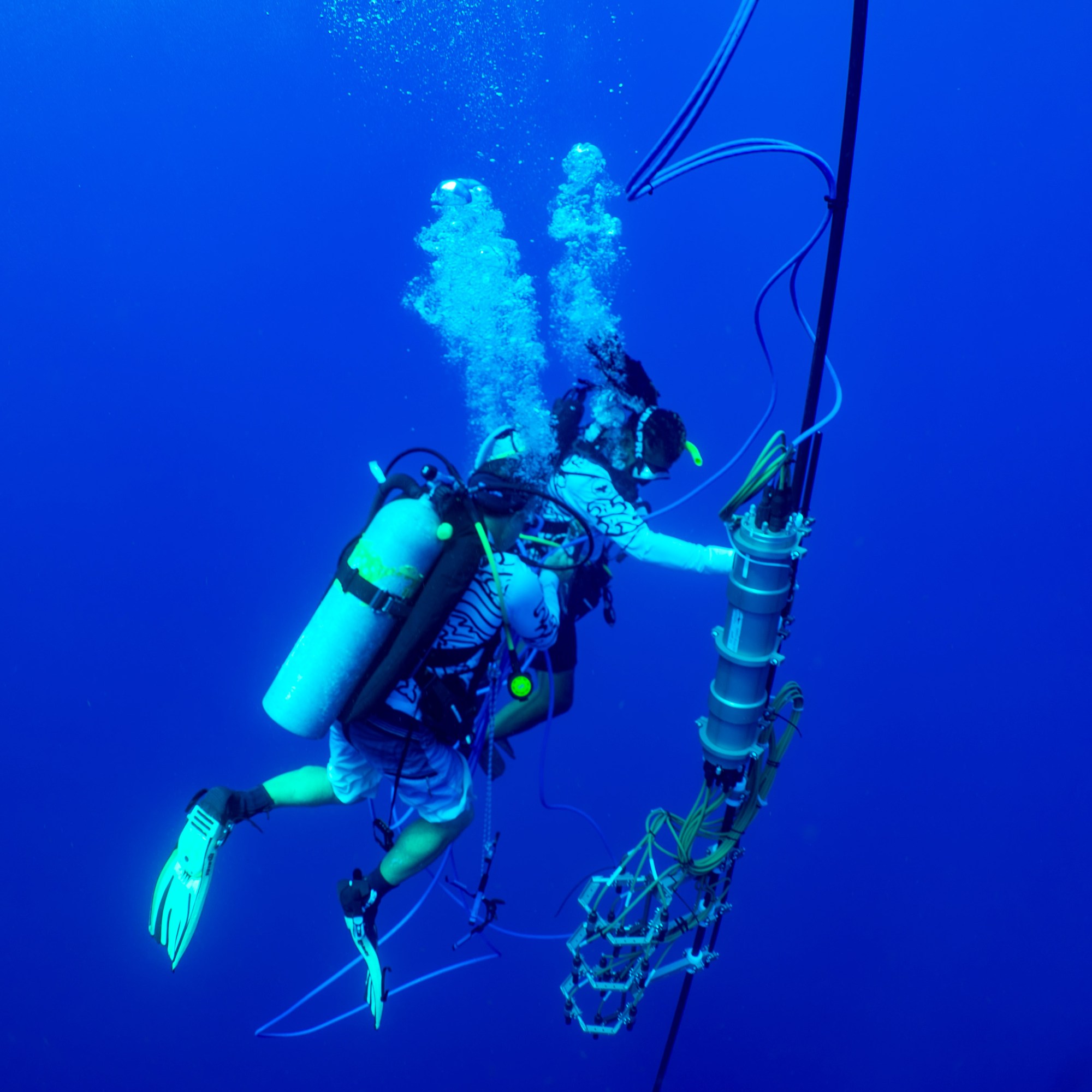 a diver with the whale recording unit