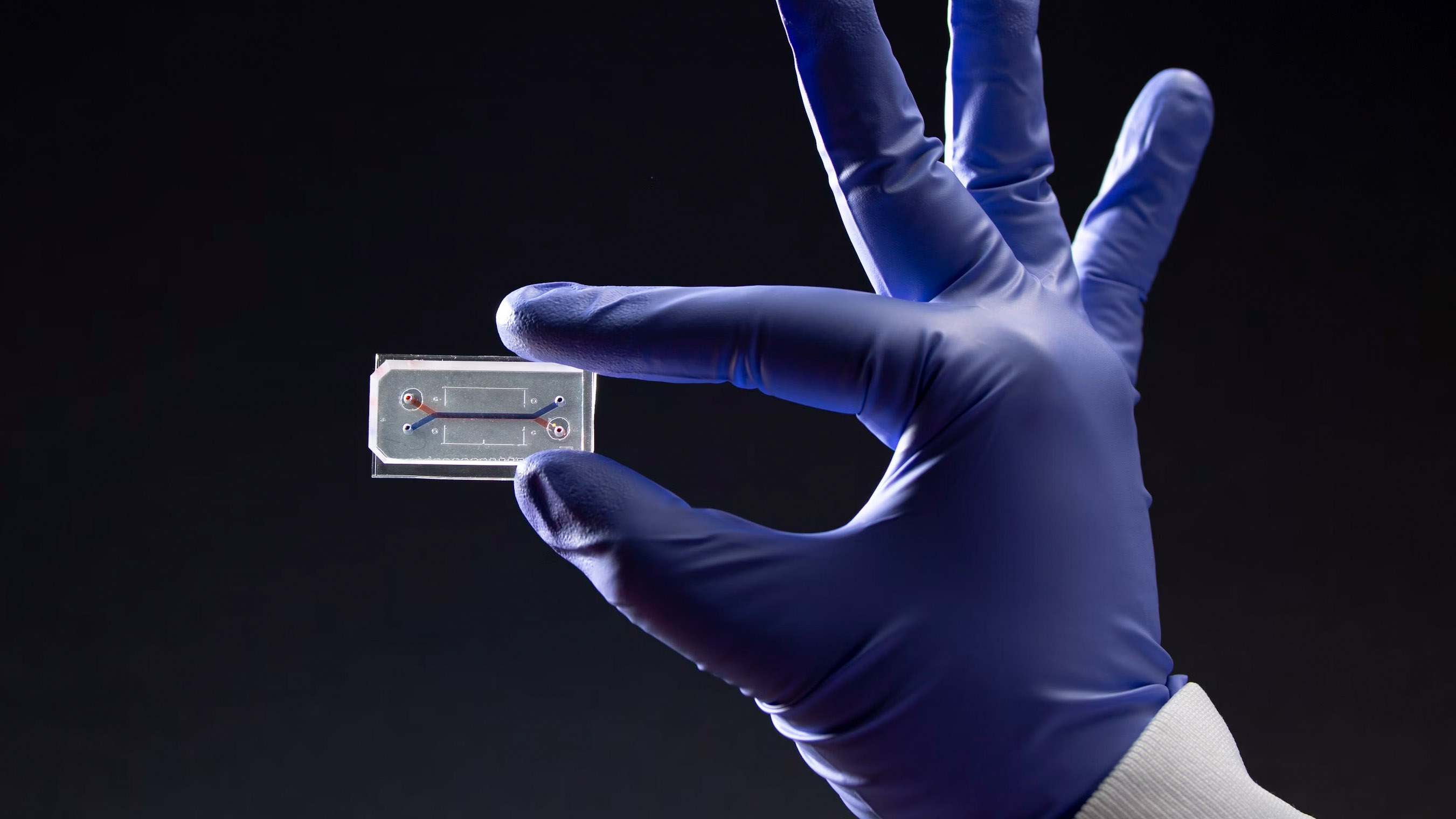 a gloved hand holding up a microfluidic chip